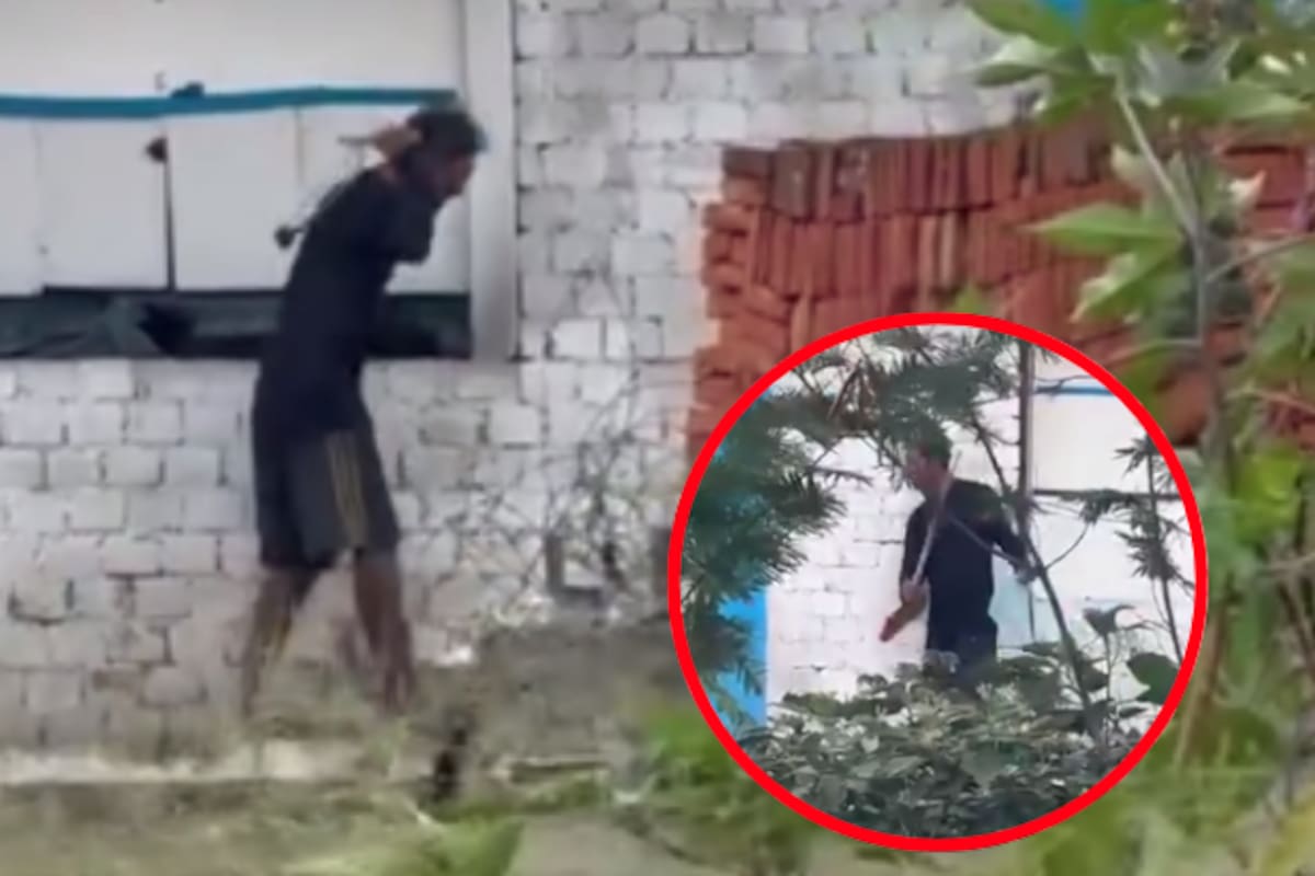 Difunden video en donde un hombre golpea a sus perros, la Fiscalía visita el hogar pero dice que no hay delito y que los perros se encuentran “sanos”