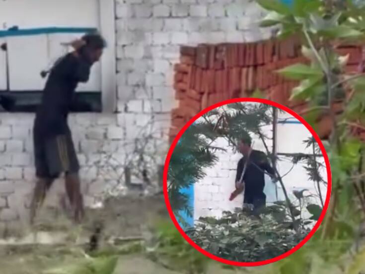 Difunden video en donde un hombre golpea a sus perros, la Fiscalía visita el hogar pero dice que no hay delito y que los perros se encuentran “sanos”