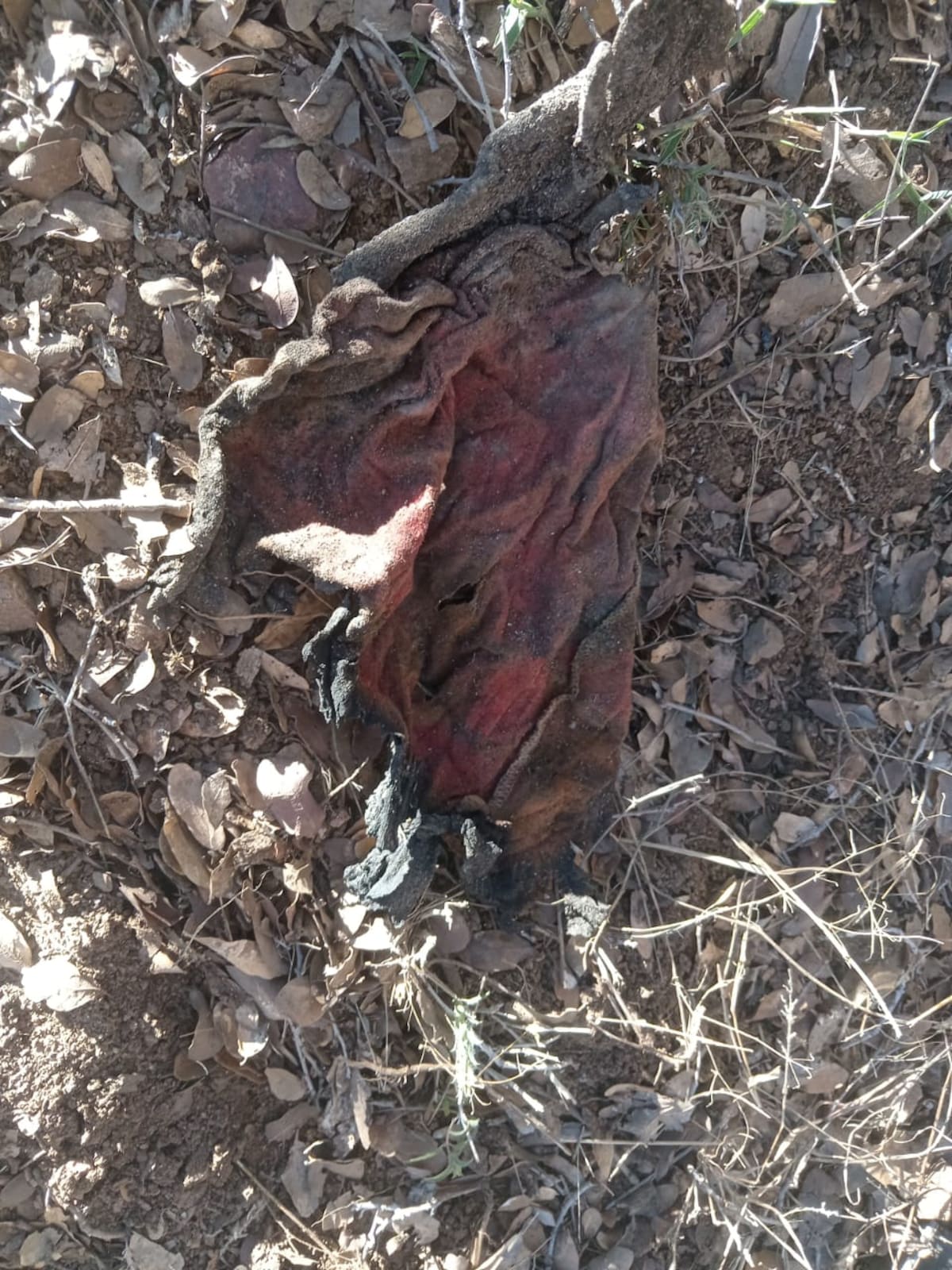 En el sitio se hallaron prendas y objetos personales.