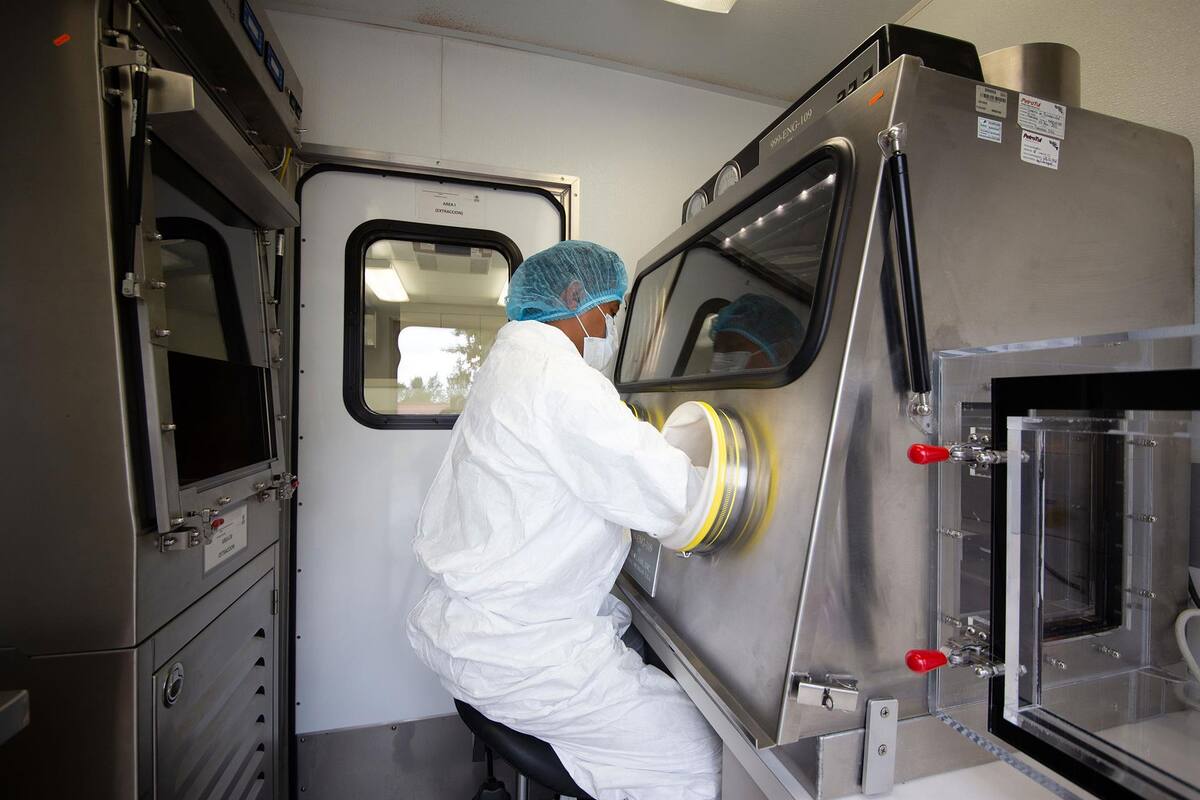 Gripe aviar H5N1: Secretaría de Agricultura implementa medidas tras detección de caso en México