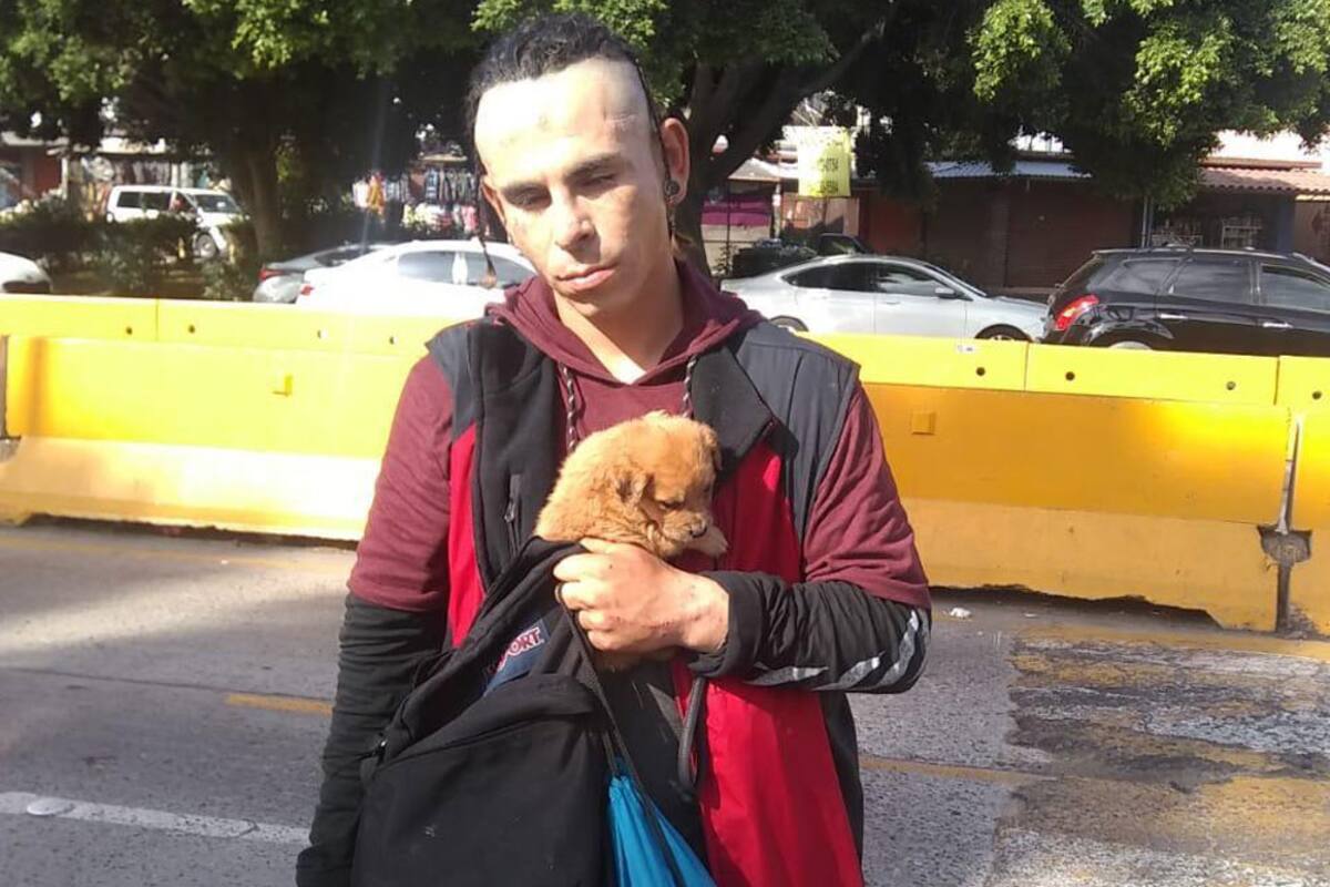 Mantienen venta clandestina de perros en la línea
