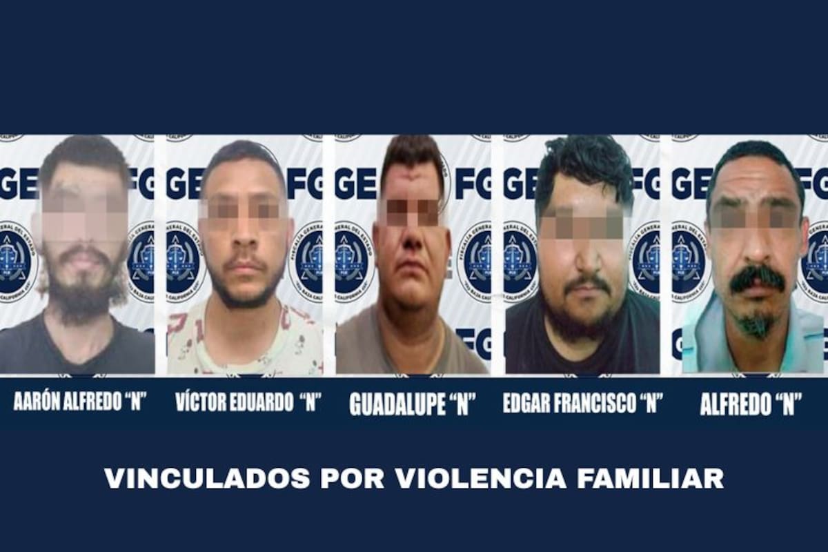 Cinco hombres procesados por violencia familiar