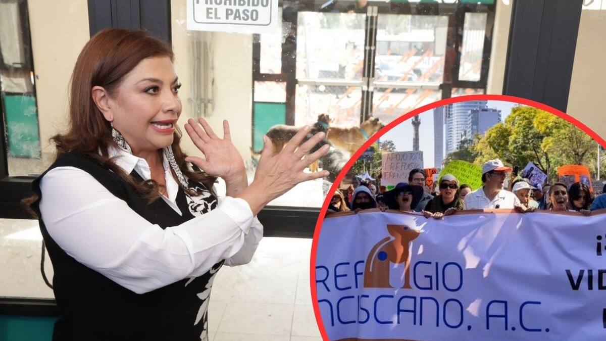 Ante las protestas por el rescate masivo de perros en el Refugio Franciscano, el gobierno de la CDMX acusó politización por grupos de derecha y bloque negro