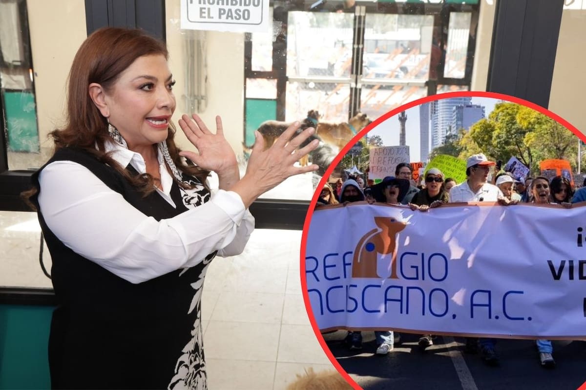 Ante las protestas por el rescate masivo de perros en el Refugio Franciscano, el gobierno de la CDMX acusó politización por grupos de derecha y bloque negro