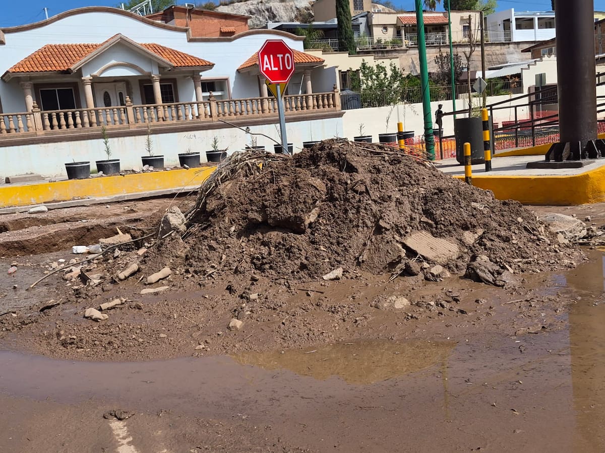 Foto: Manuel Jiménez.