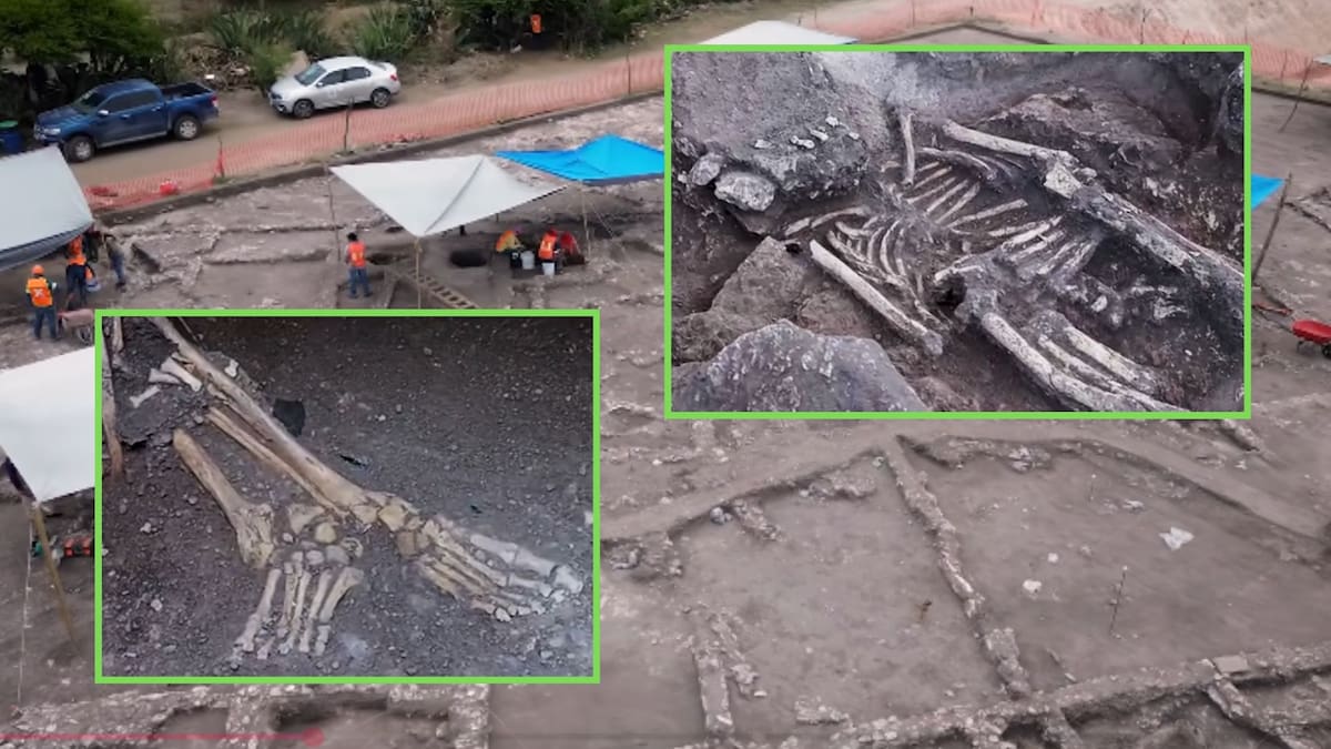 Arqueólogos del INAH descubren en Tula una tumba subterránea con ocho cuerpos en posición fetal durante el salvamento del Tren México-Querétaro, un hallazgo que revela cómo este complejo abastecía de cal a los palacios de Teotihuacan