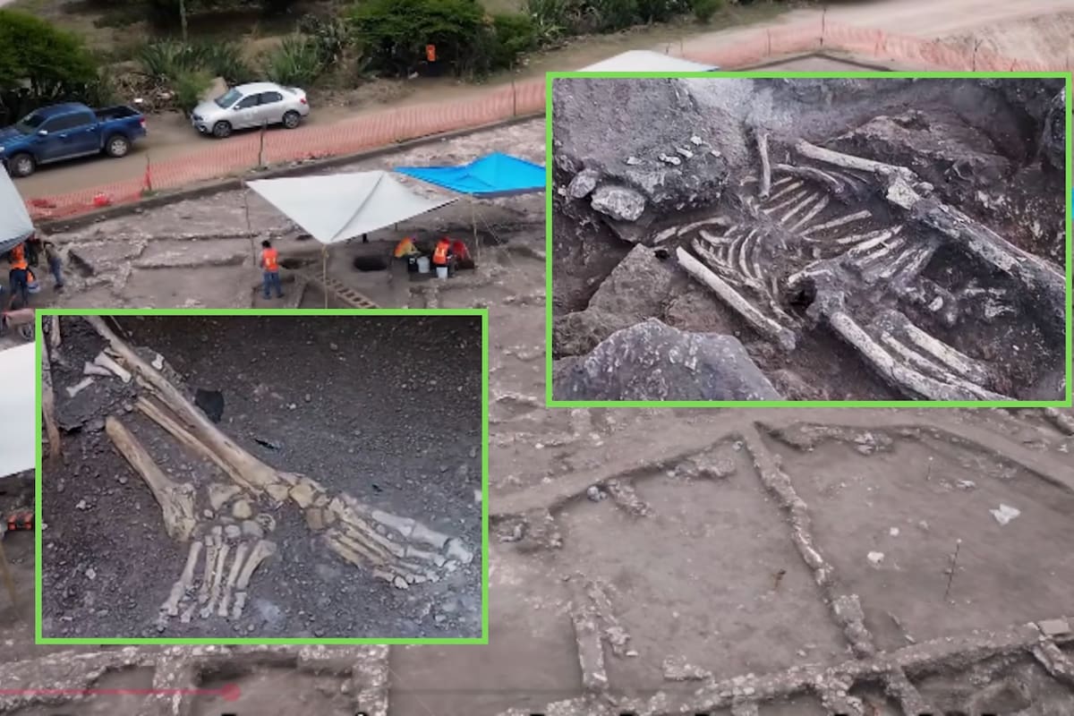 Arqueólogos del INAH descubren en Tula una tumba subterránea con ocho cuerpos en posición fetal durante el salvamento del Tren México-Querétaro, un hallazgo que revela cómo este complejo abastecía de cal a los palacios de Teotihuacan