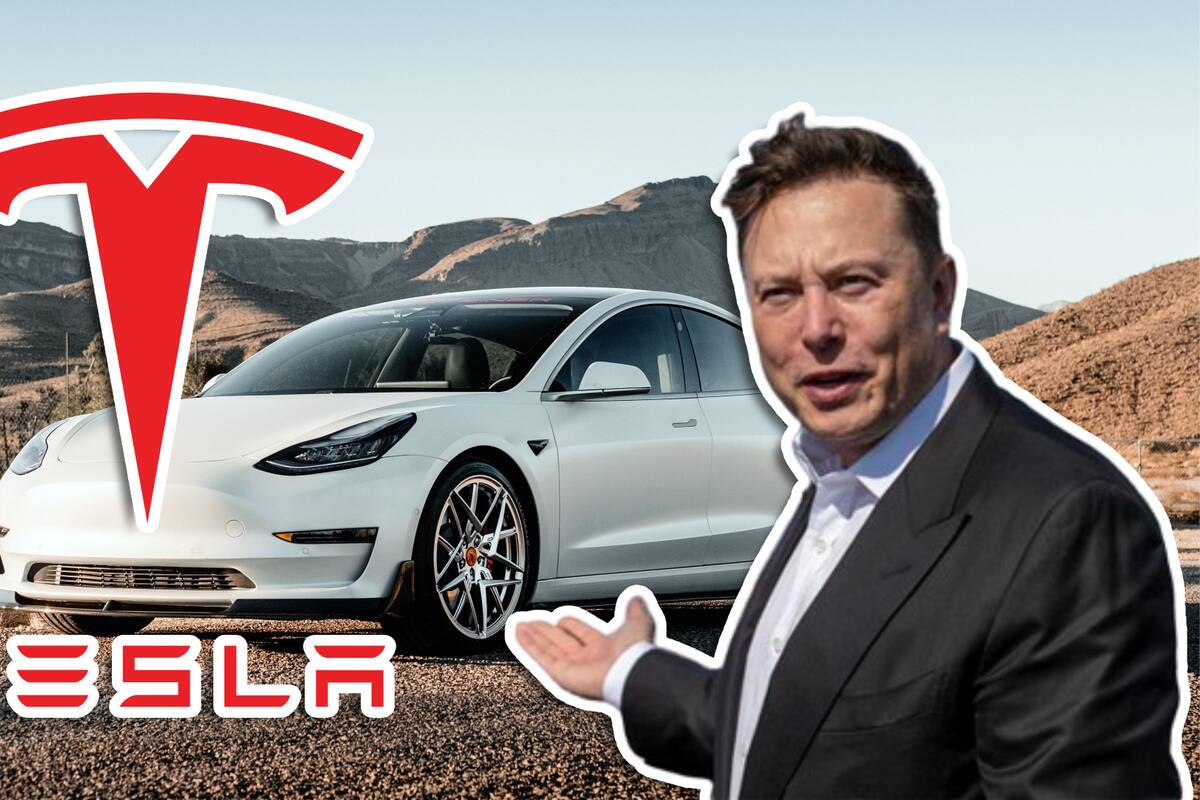Así son los “robotaxis” que planea lanzar Tesla