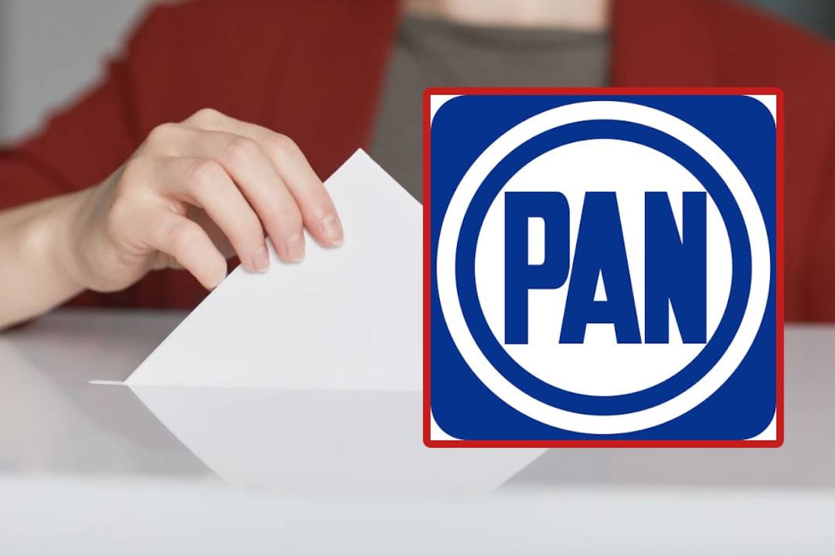 PAN pide a partidos postular perfiles con experiencia y no solo candidatos populares en Puebla