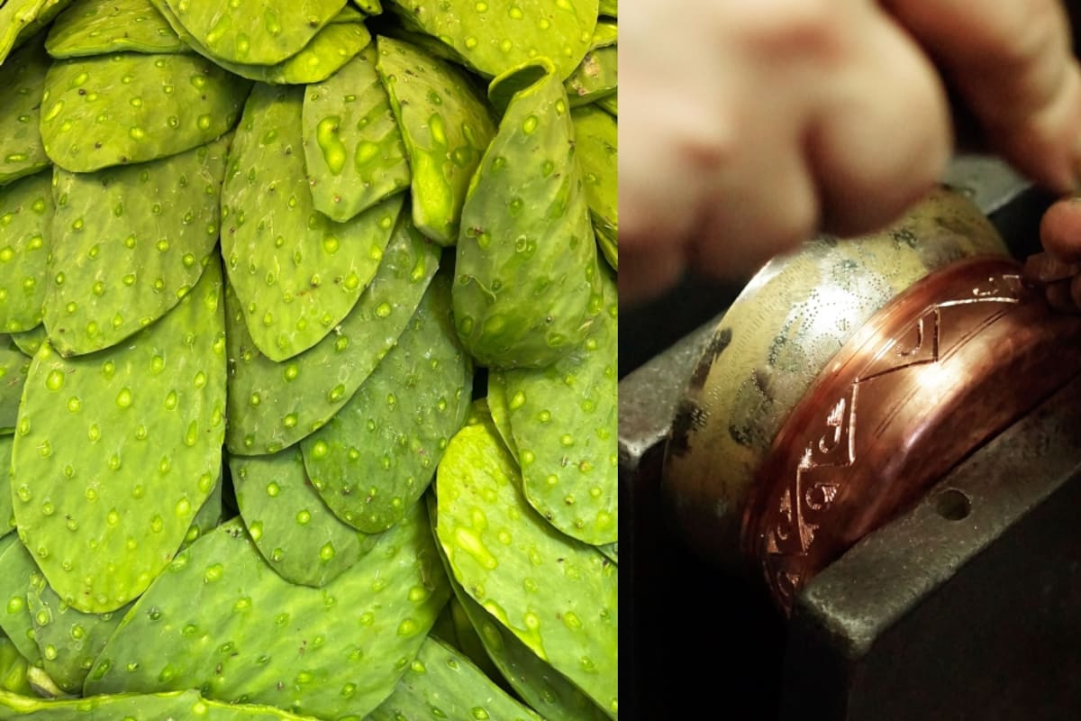 ¿La baba del nopal limpia el cobre? Mujer lo descubre por accidente y sorprende en redes