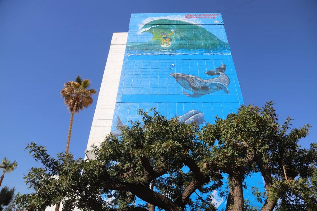 Buscan crear conciencia sobre el cuidado de los mares con murales en Tijuana