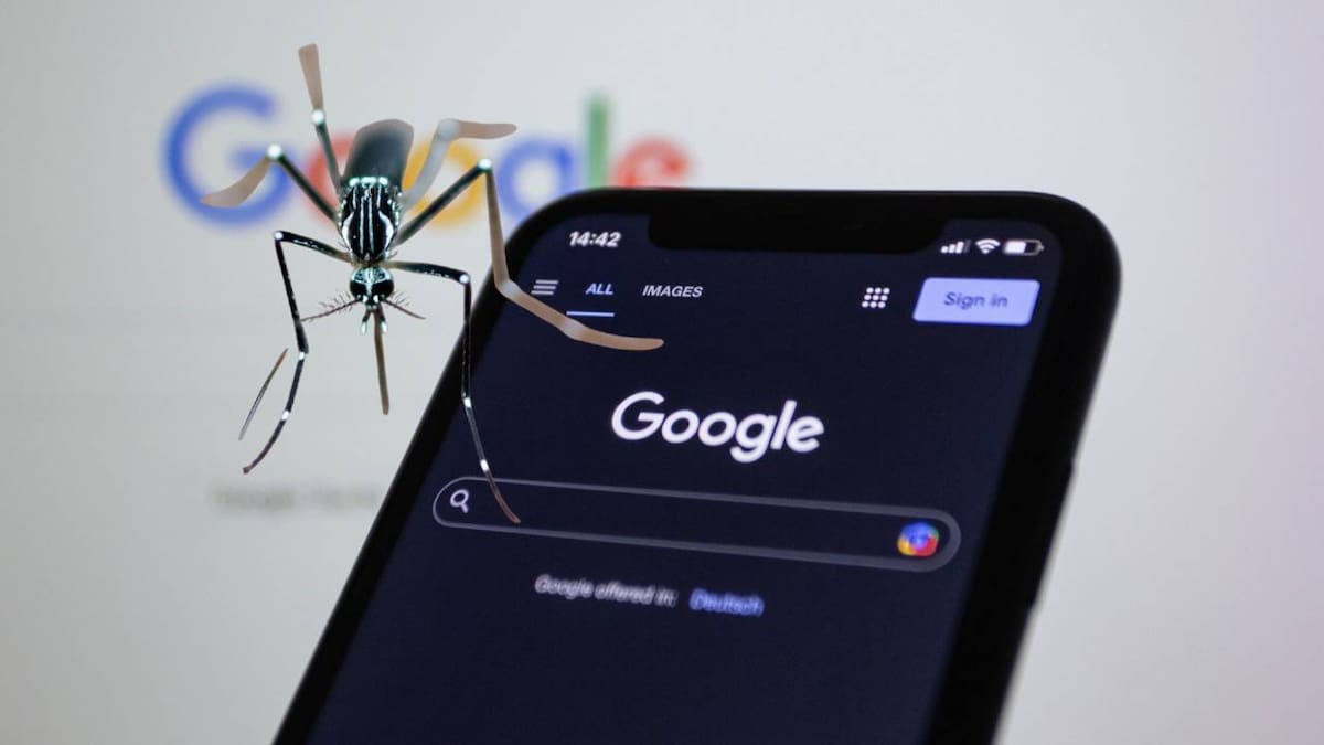 Google pide permiso para liberar millones de mosquitos en California y Florida y la Agencia de Protección Ambiental se encuentra en revisión; podrían liberar 16 millones de mosquitos por año en cada estado de EEUU, durante un periodo de dos años