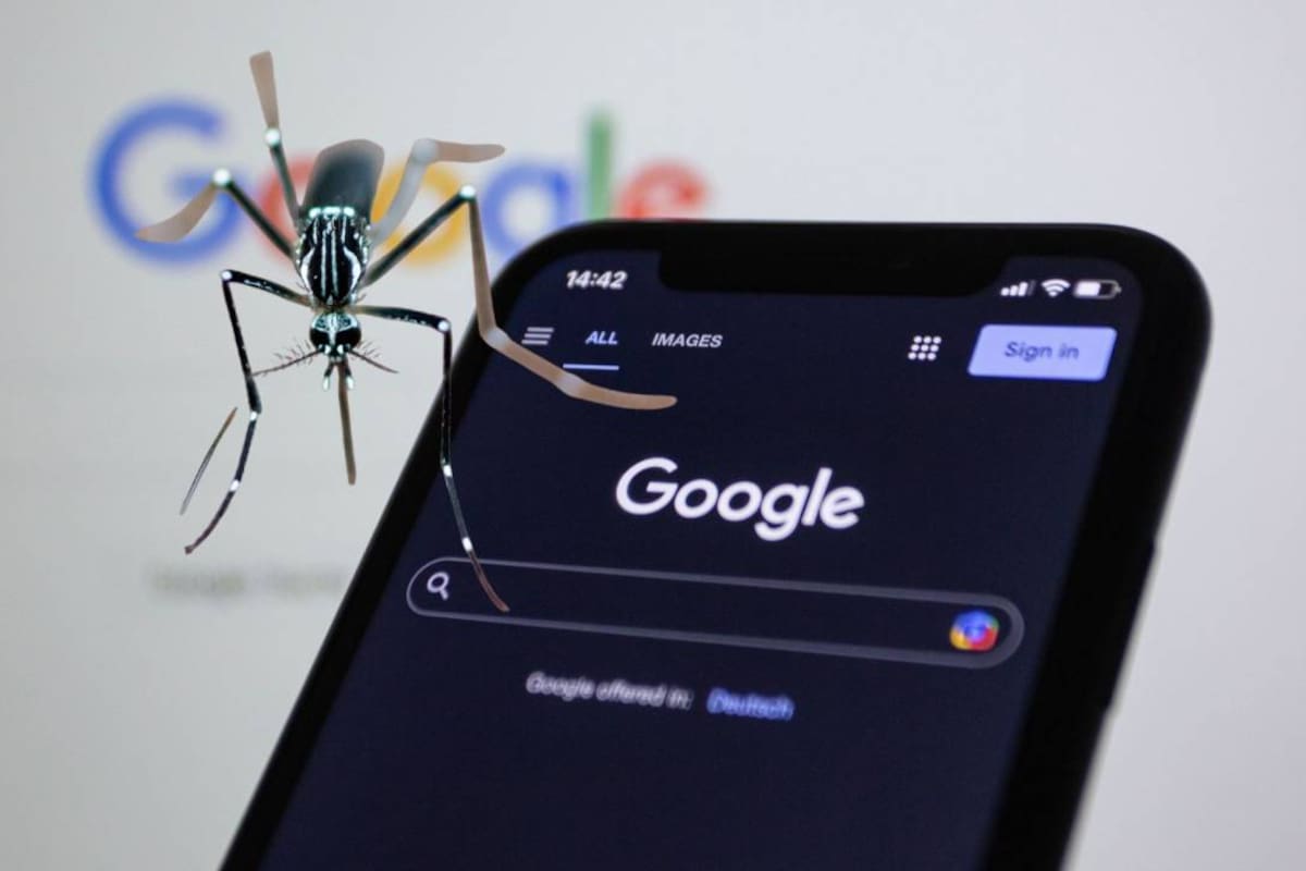 Google pide permiso para liberar millones de mosquitos en California y Florida y la Agencia de Protección Ambiental se encuentra en revisión; podrían liberar 16 millones de mosquitos por año en cada estado de EEUU, durante un periodo de dos años