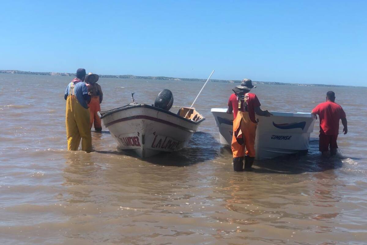 Denuncian pesca furtiva y comercialización ilegal durante la veda de especies marinas en Yucatán