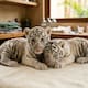 Nacen dos tigres blancos por inseminación artificial