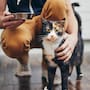 Una mujer de Texas pagó 25 mil dólares para clonar a su gata fallecida, pero descubrió que, aunque la mascota es 100% idéntica genéticamente, su personalidad es completamente diferente
