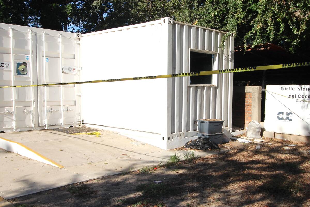 Dos hombres se hacen pasar por trabajadores de Profepa y roban 55 ejemplares de tortuga casquito en Puerto Vallarta