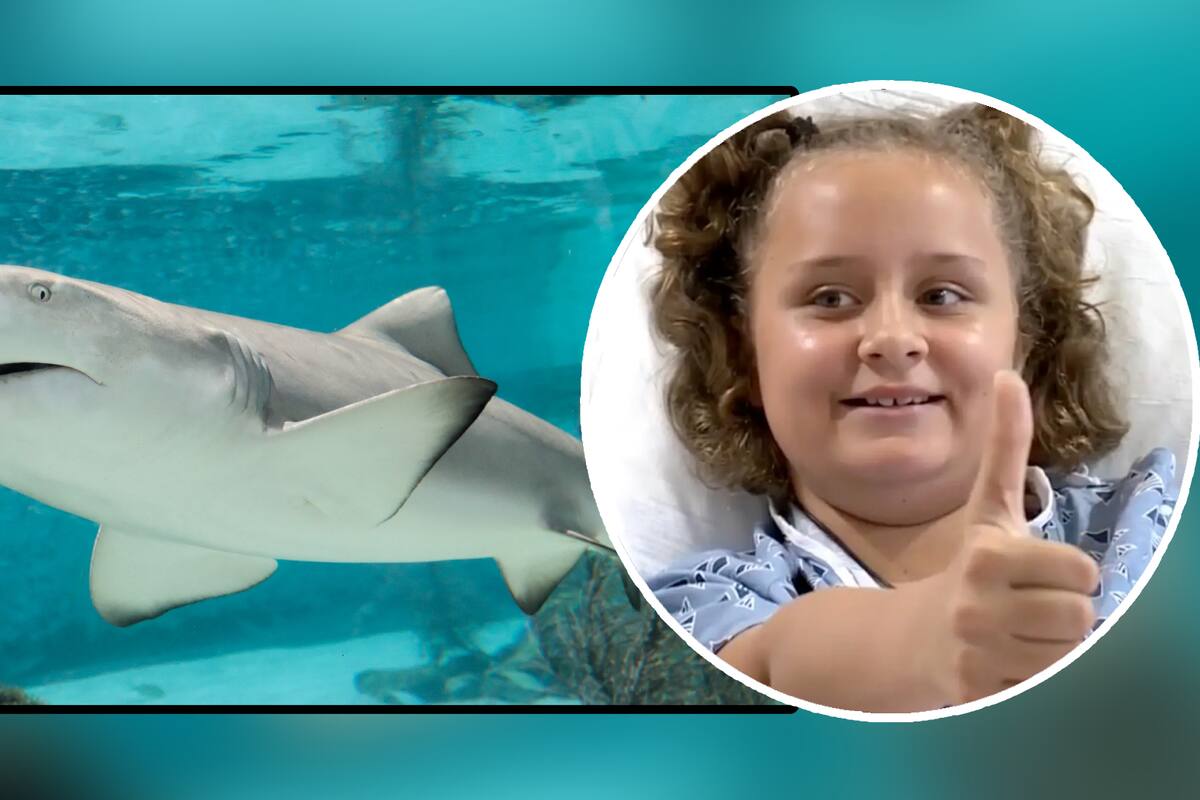 Valiente niña de Florida pierde parte del pie por ataque de tiburón: "Luché contra un tiburón y gané"