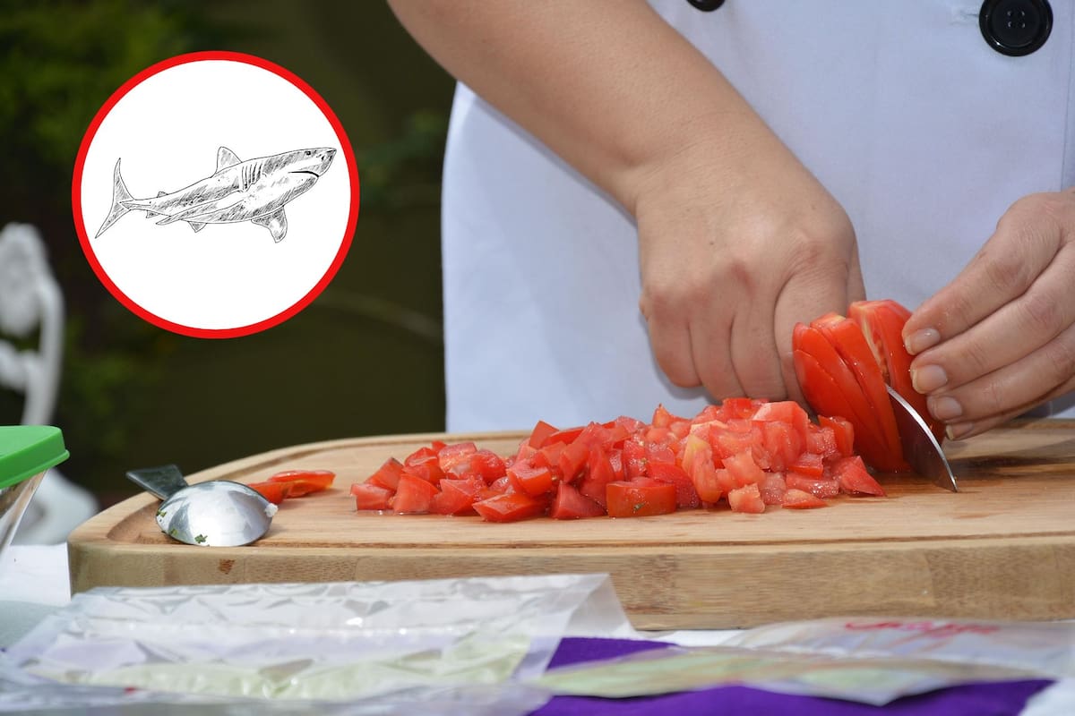 Científicos diseñan superficies antimicrobianas para cocinas imitando la piel de los tiburones