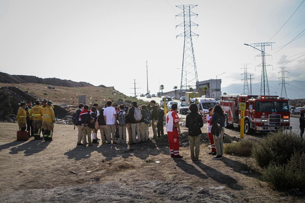 La unidad se quedó sin frenos y cruzó ambos sentidos del bulevar, atravesando el camellón central y derribando una palmera. Foto: Border Zoom