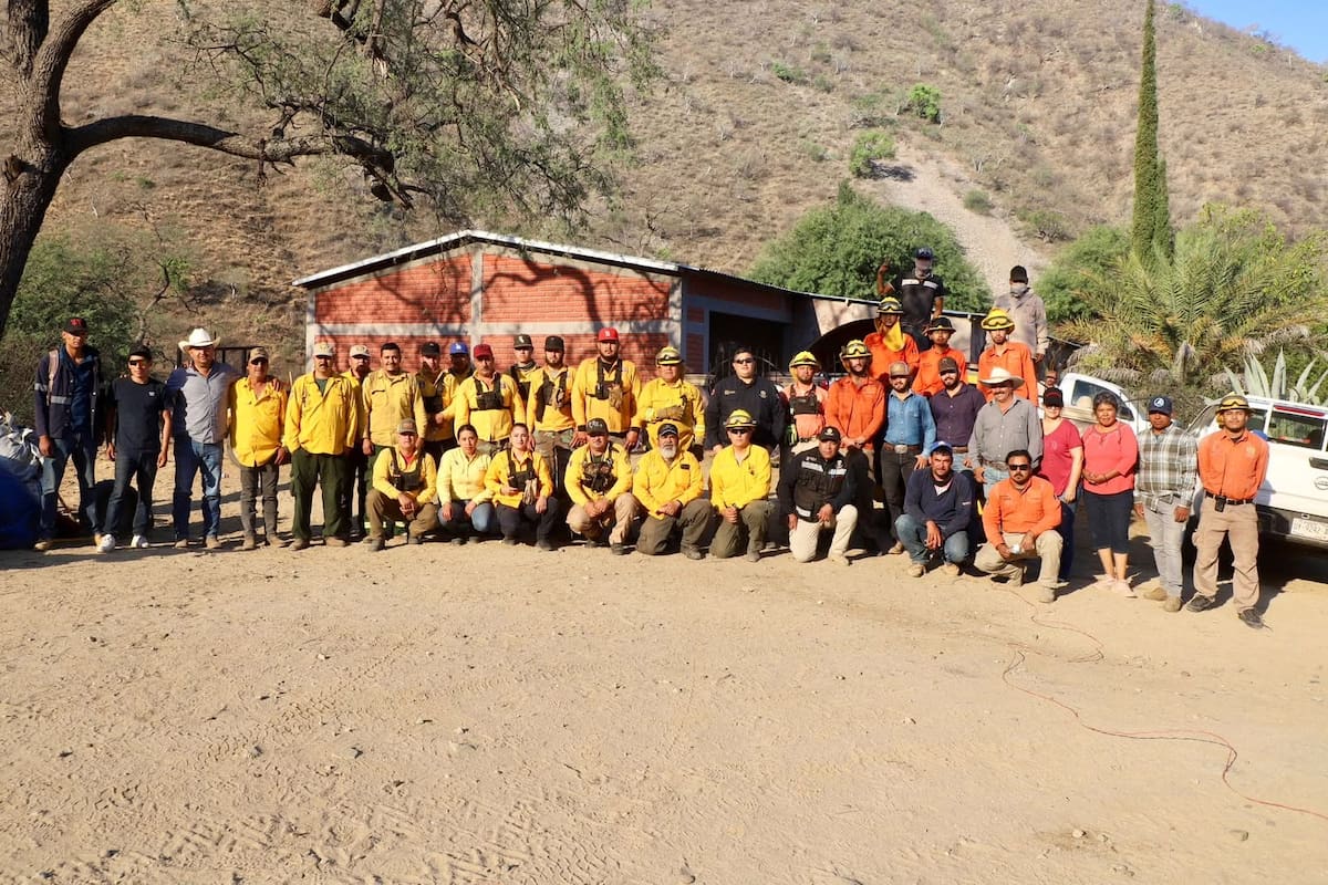 Brigadistas de distintas corporaciones lograron contener el avance del fuego que afectó más de 2 mil hectáreas de bosque de encino y pino en Arivechi. FOTO ESPECIAL CEPC SONORA