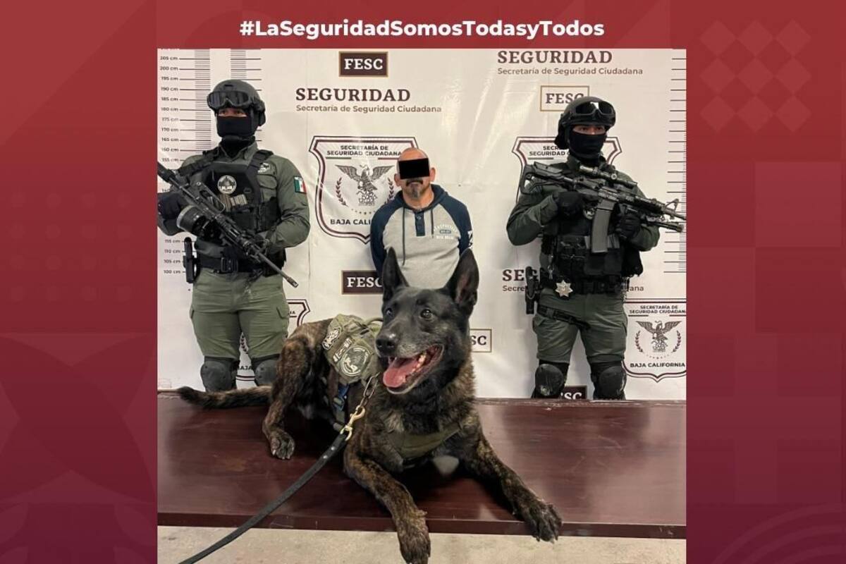 Detienen a estadounidense con amplio historial delictivo