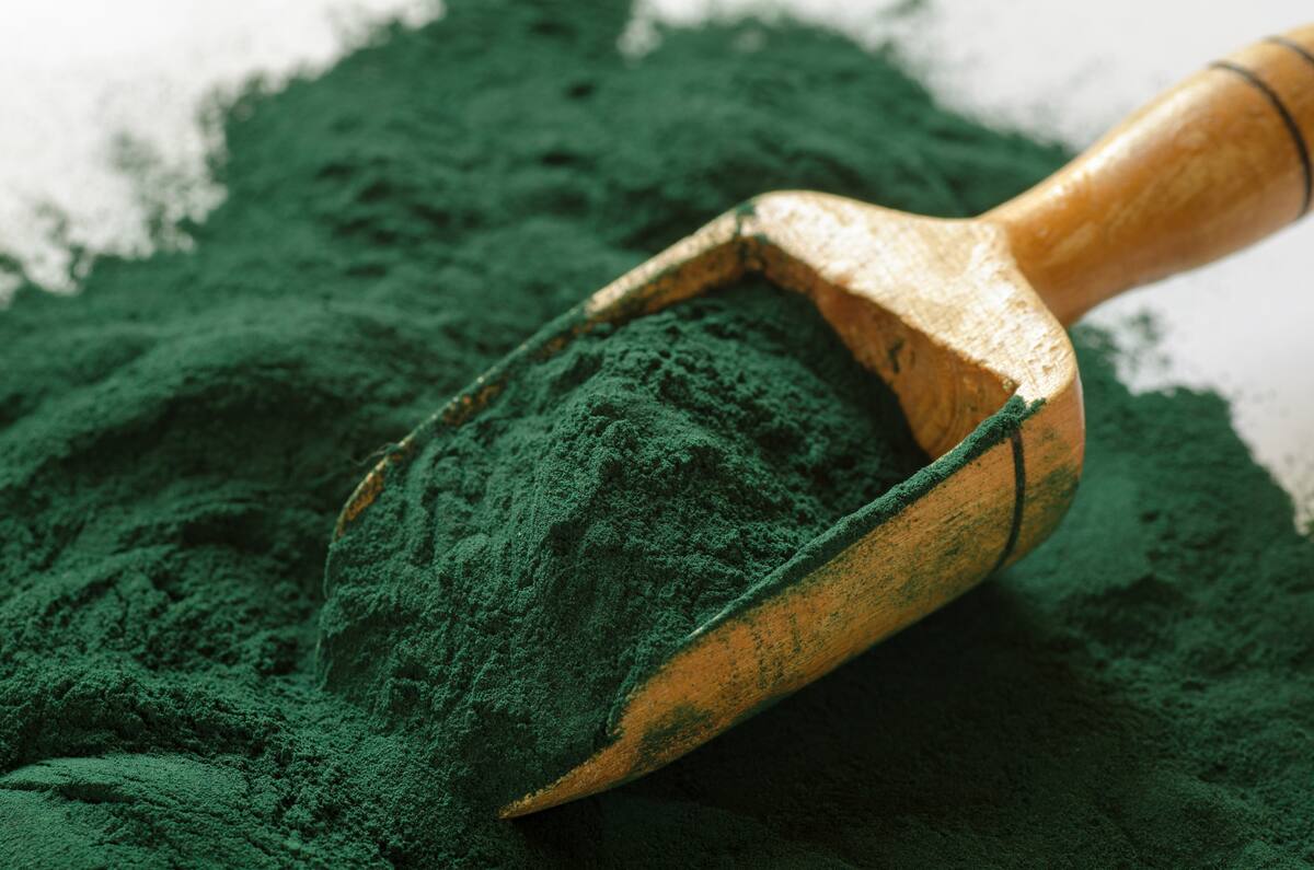 Organic spirulina powder. Spirulina is a superfood used as a food supplement source of vitamin protein and beta carotene