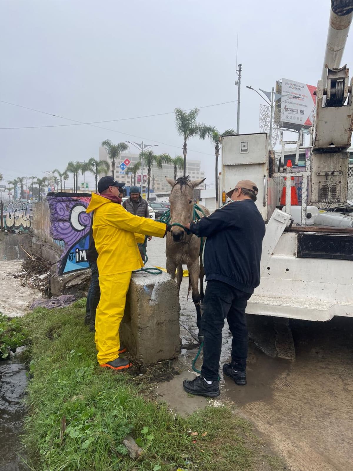 Foto: Carmen Gutiérrez