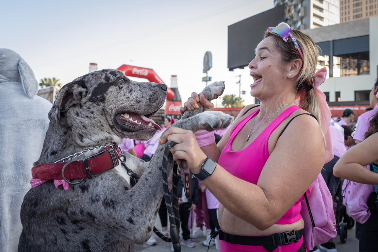 Alrededor de mil 300 personas participaron en la quinta carrera Corre Contra el Cáncer de Mama en Tijuana, que recaudó fondos para comprar camas-camilla para el IMSS. La jornada pet friendly contó con la participación de Vaquita, una perrita sobreviviente de cáncer que completó los cinco kilómetros. Foto: Cortesía / Border Zoom