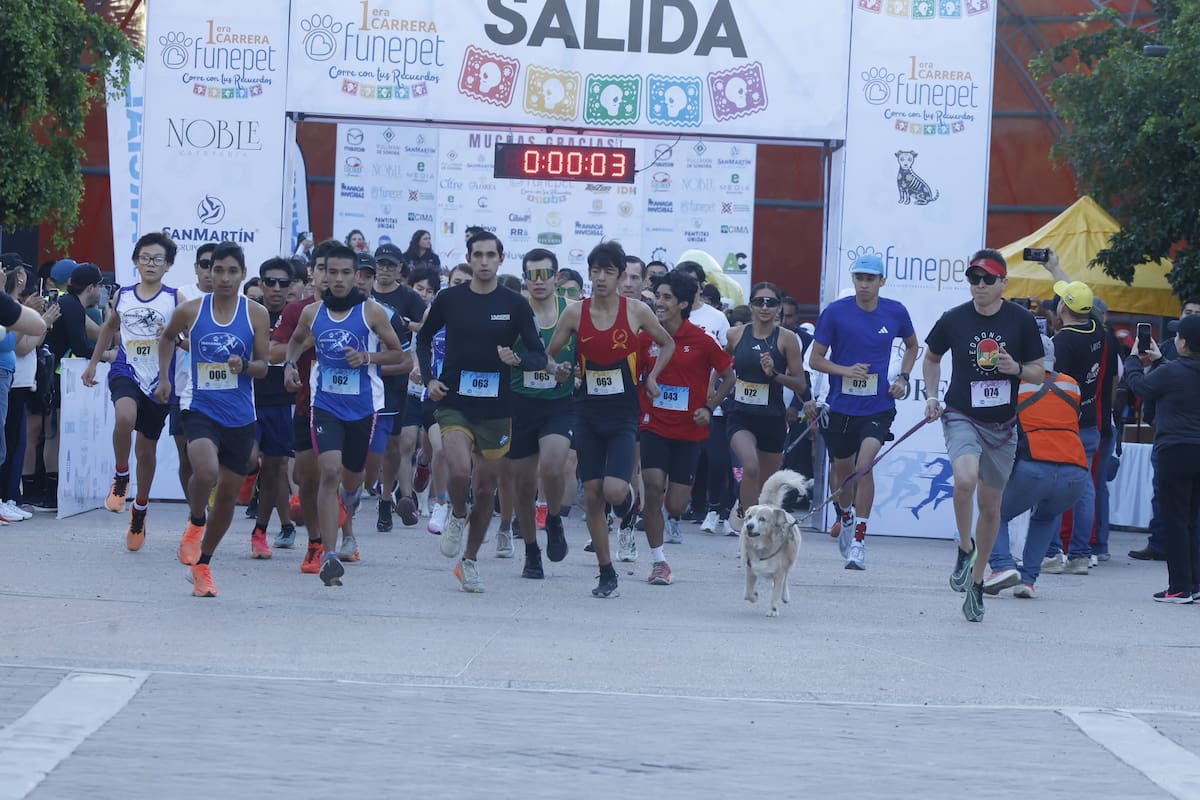 Foto: Teodoro Borbón