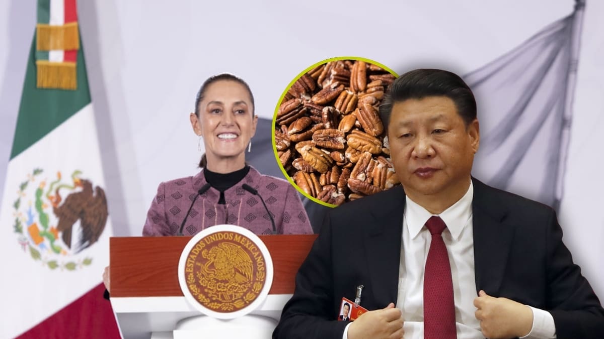 México dialoga con China tras aranceles antidumping de hasta 51.6% a la nuez pecanera, afirma Sheinbaum