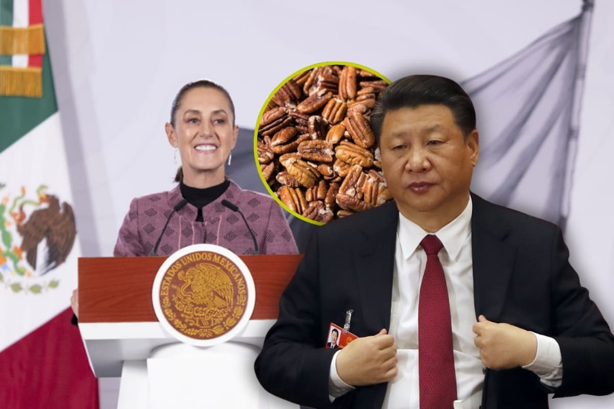 México dialoga con China tras aranceles antidumping de hasta 51.6% a la nuez pecanera, afirma Sheinbaum