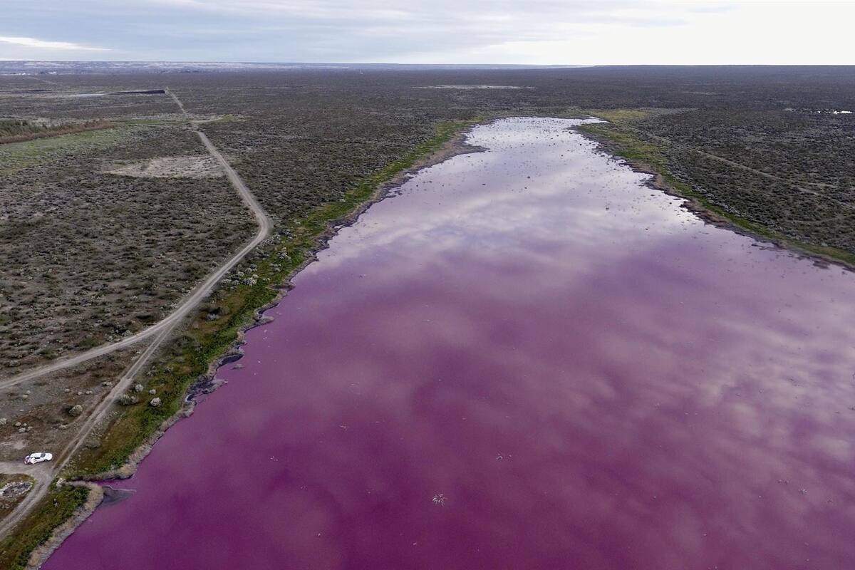 Argentina: El llamativo color rosa de un cuerpo de agua que preocupa a los ambientalistas