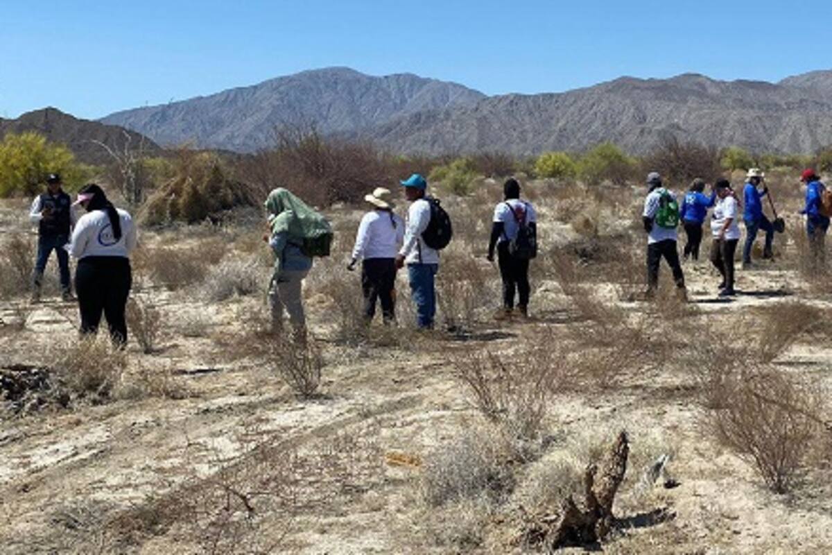 Realizan operativo de búsqueda en el puerto de San Felipe