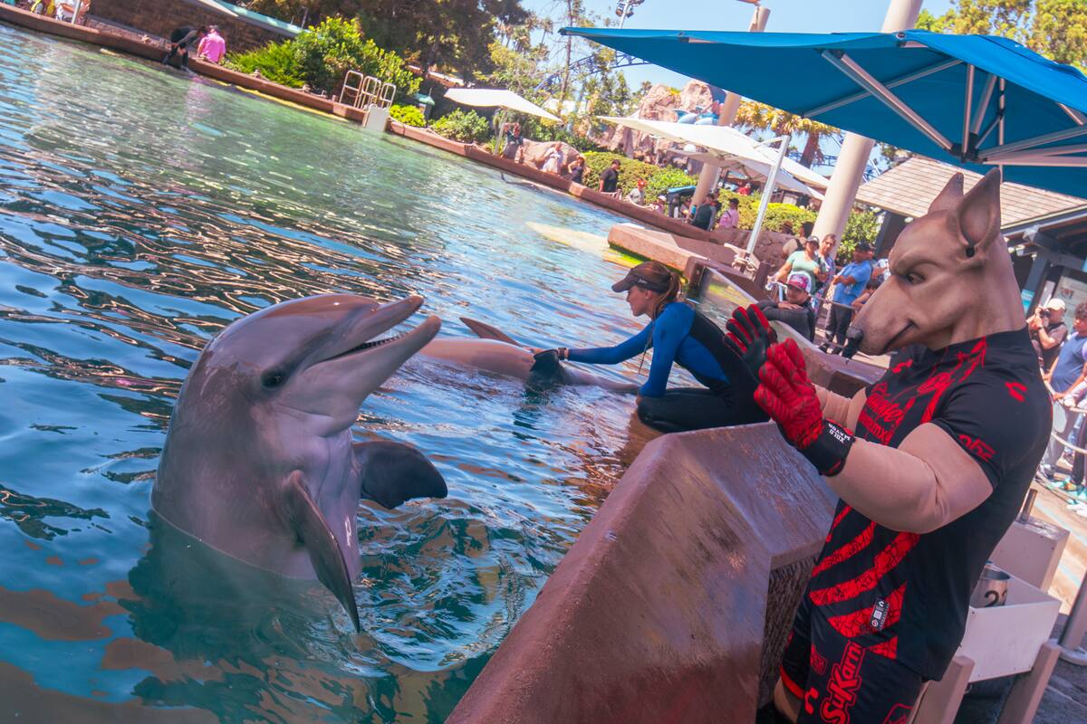 Sea World San Diego abre puertas a fanáticos de Xolos de Tijuana