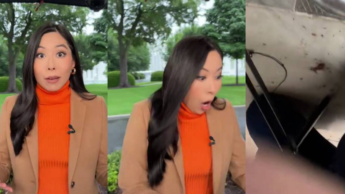 Captan reacción de reportera de ABC cuando se escuchó el tiroteo cerca de la Casa Blanca, mientras realizaba una transmisión; autoridades reportan al menos dos heridos