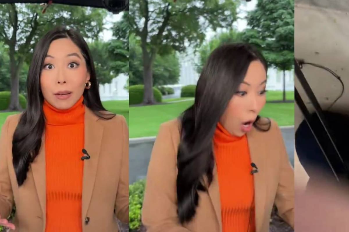 Captan reacción de reportera de ABC cuando se escuchó el tiroteo cerca de la Casa Blanca, mientras realizaba una transmisión; autoridades reportan al menos dos heridos