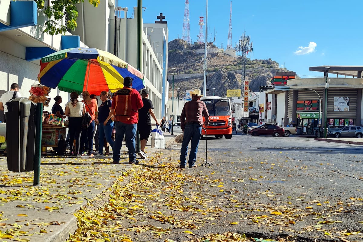 Equinoccio marca hoy el inicio del otoño en Sonora a las 17:05 horas y las noches comenzarán a ser más largas que los días