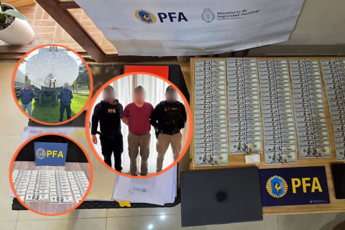 Simulaban compraventas de granos para generar retenciones fiscales ficticias y solicitar reintegros de IVA por 10 millones de dólares, una maniobra que llevó a 23 detenidos y 85 allanamientos en Argentina
