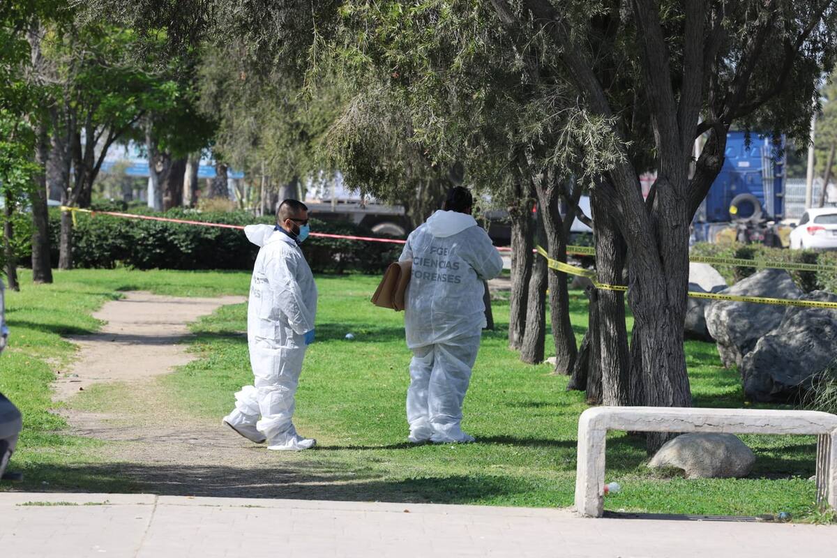 El hallazgo fue reportado por transeúntes que caminaban por la zona.