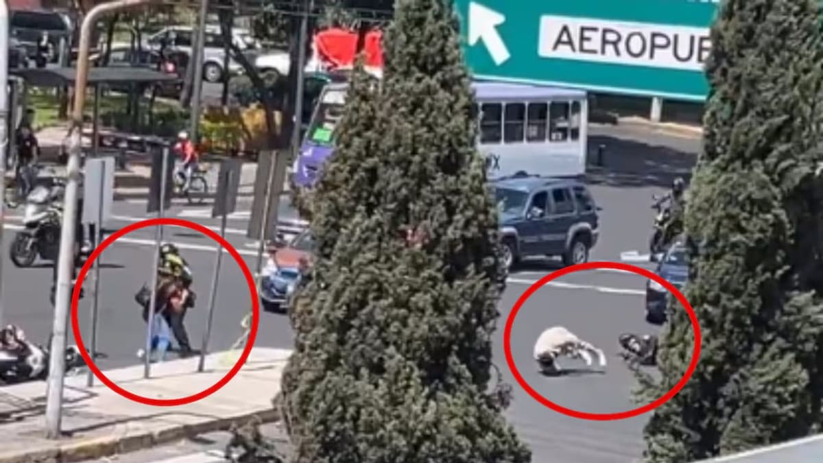 Captura de video del momento del disparo. Foto: (Captura vía El Universal)