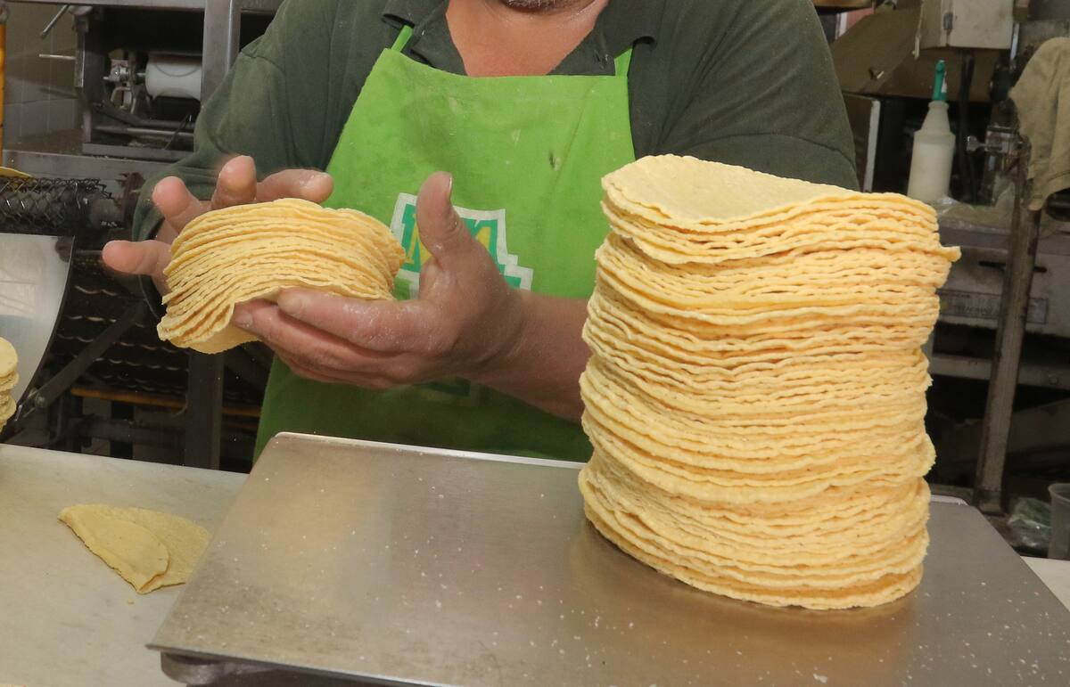 El precio del kilo de tortilla en Hermosillo alcanza los 35 pesos en algunas colonias, superando el costo promedio en otras partes del país. FOTO: BANCO DIGITAL