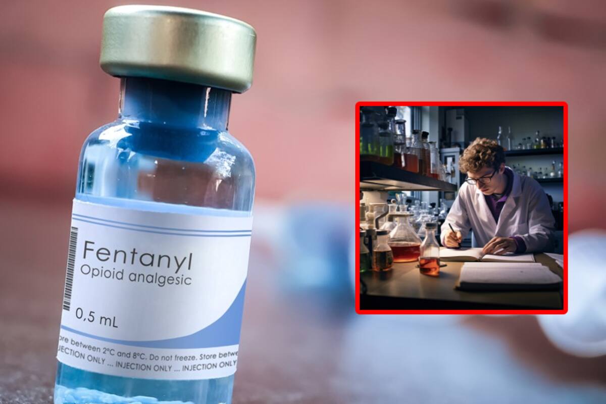 Cárteles en México reclutan estudiantes de química para fabricar fentanilo: New York Times, medio de EU