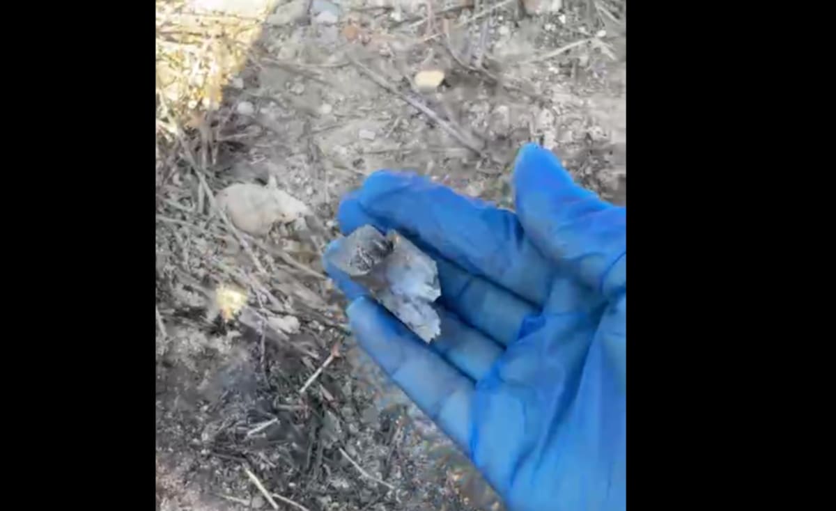 Foto: Lazos Unidos Por Encontrarlos en Facebook.