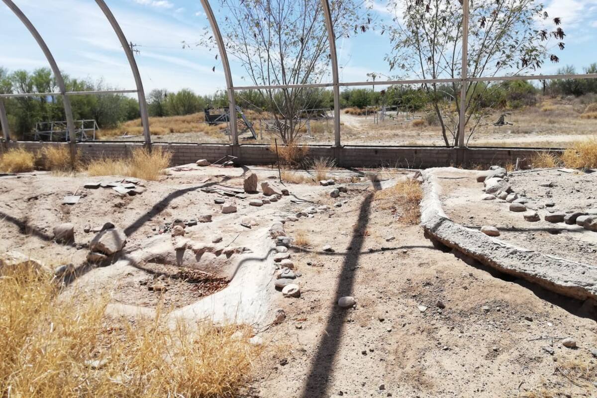 Quiere rescatar invernadero ecológico