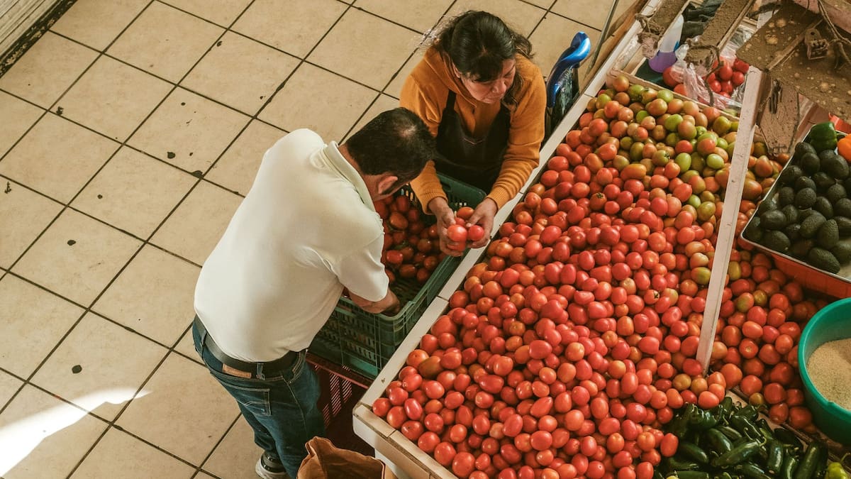 El precio del jitomate baja a 30 pesos por kilo en la Central de Abasto tras registrar una inflación histórica de 152%, aliviando de forma directa el gasto diario en la canasta básica familiar