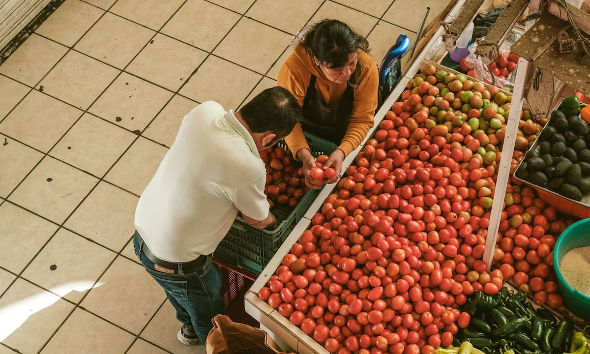 El precio del jitomate baja a 30 pesos por kilo en la Central de Abasto tras registrar una inflación histórica de 152%, aliviando de forma directa el gasto diario en la canasta básica familiar | Pexels