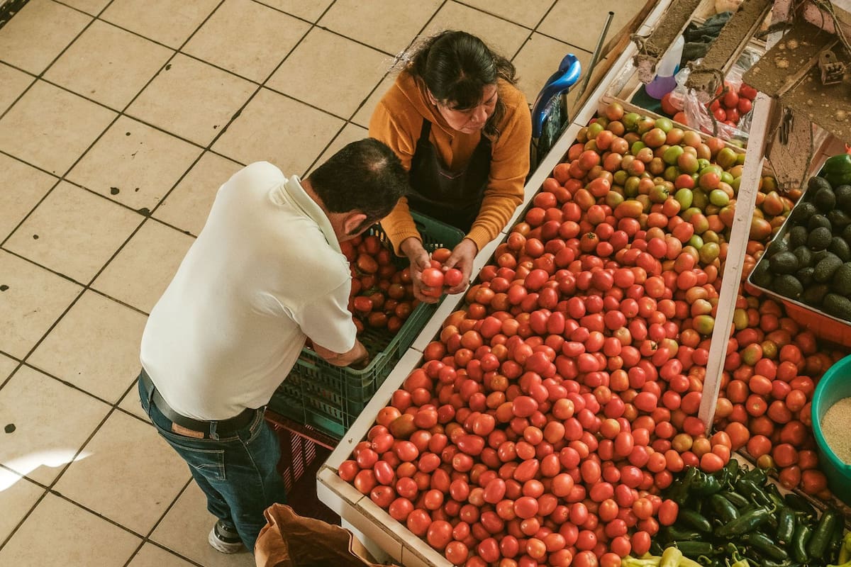 El precio del jitomate baja a 30 pesos por kilo en la Central de Abasto tras registrar una inflación histórica de 152%, aliviando de forma directa el gasto diario en la canasta básica familiar