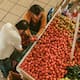 El precio del jitomate baja a 30 pesos por kilo en la Central de Abasto tras registrar una inflación histórica de 152%, aliviando de forma directa el gasto diario en la canasta básica familiar
