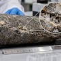 Científicos extrajeron una roca de dos mil millones de años en Sudáfrica y encontraron microbios vivos dentro de una fractura sellada